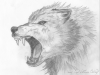 avatar_волк